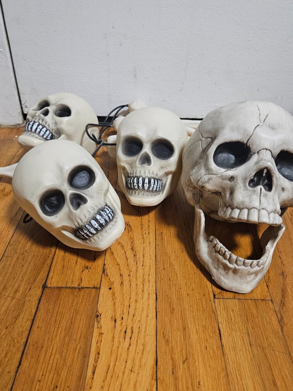 Halloween Spooky Skulls